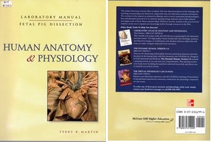 Human Anatomy & Physiology